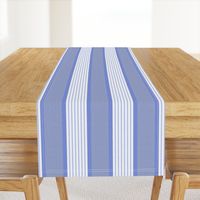 Ticking Triple Stripe in Blue