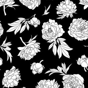 peonies monochrome