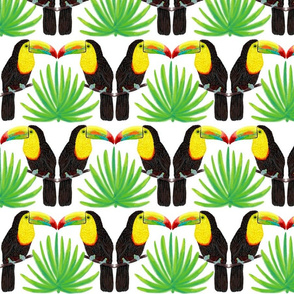 Toucans and Fanpalms 7”