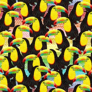 Rainbow Toucans Flock 7”