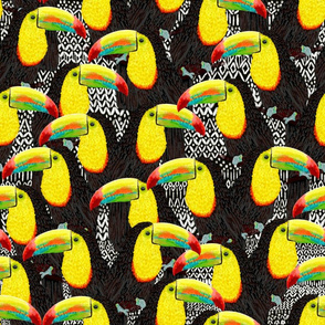 Toucans Tribe (black) 18”