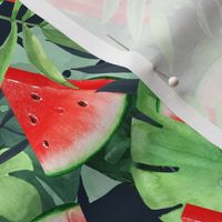 Watermelon slices with tropical leaves