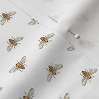 Bees on white