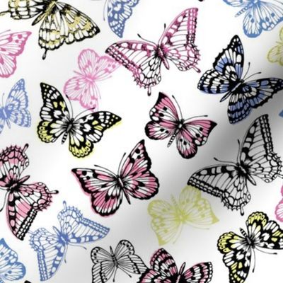 Multi coloured butterflies