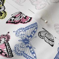 Multi coloured butterflies