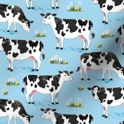 Cows on blue