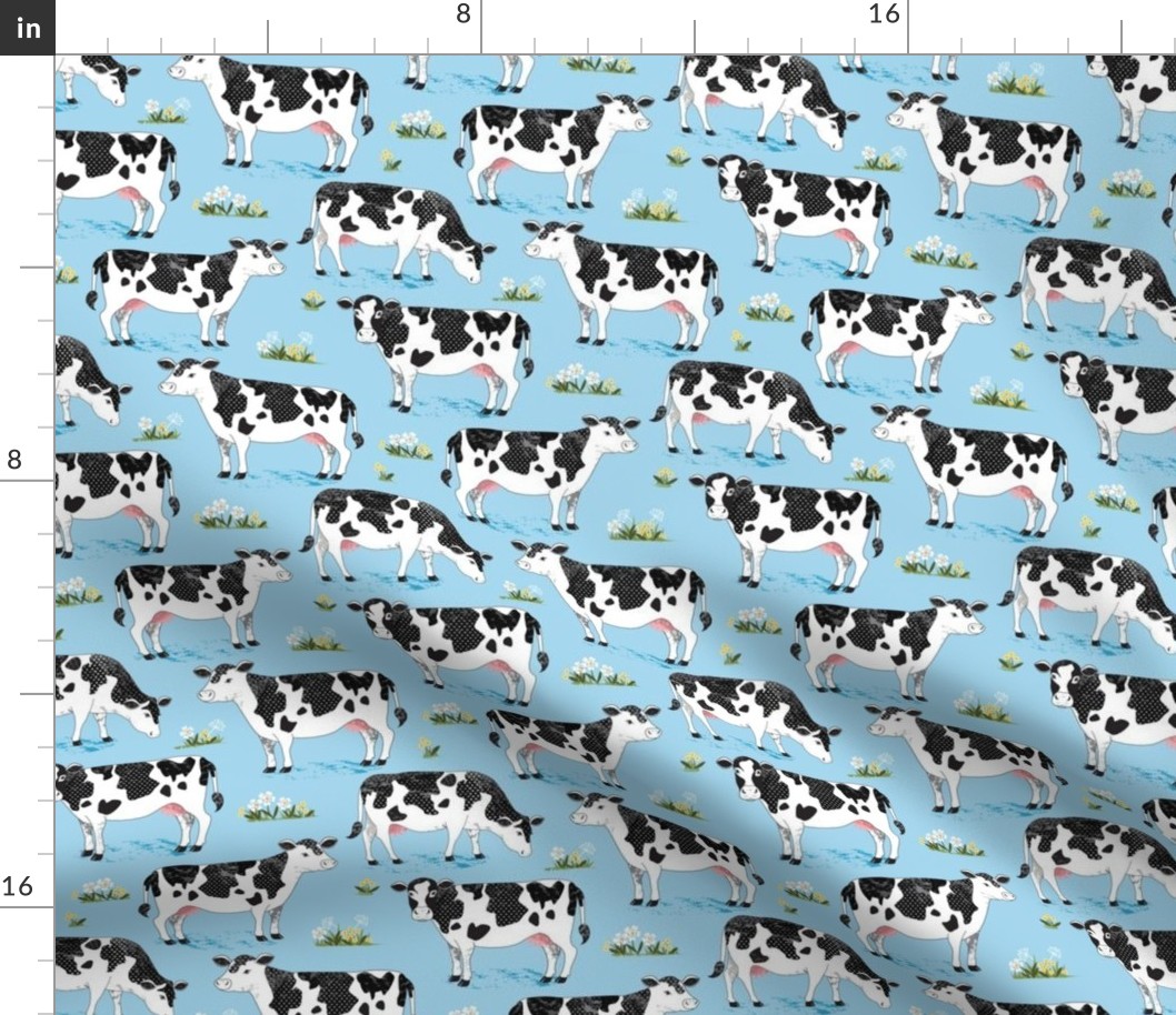 Cows on blue