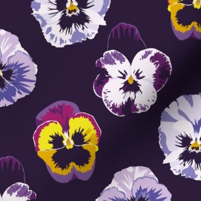 Pansies on midnight violet