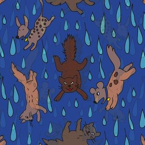 raining cats and dogs