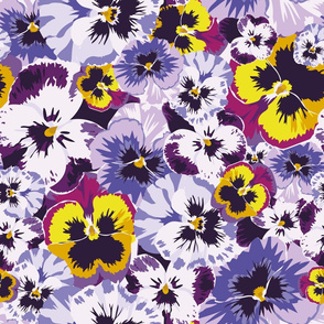 Pansy by numbers