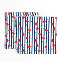 Stars and stripes Kawaii cute American traditional flag colors 4th of July celebrations LARGE
