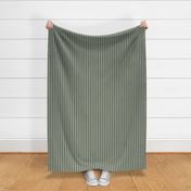 Greenish Gray Striped Coordinate