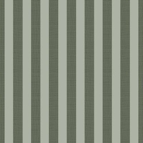 Greenish Gray Striped Coordinate