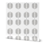 Tropical Palms . White Gray Fronds