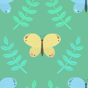 Backyard butterflies