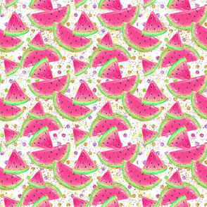 Watermelon confetti