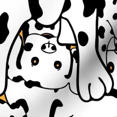 Dalmatians