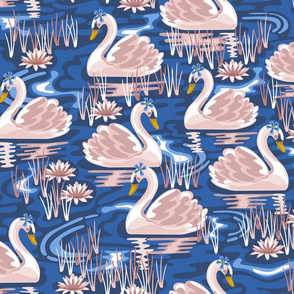 Sweet Swimming Swans