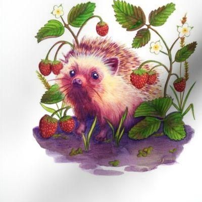 Hedgehog In A Strawberry Patch