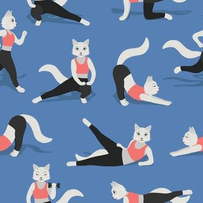 Fitness Cats on blue
