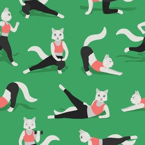 Fitness Cats on green