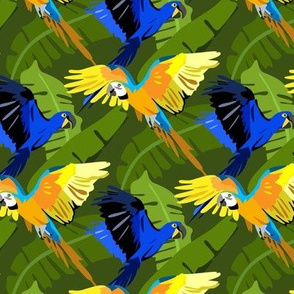 flying parrots