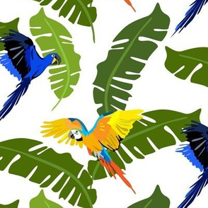 flying parrots and exotic leaves - white