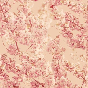 Vintage Cherry Blossoms 