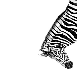 Zebra teatowel Black & White