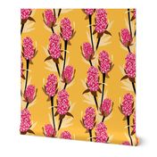 Pink Banksia in Yellow Background