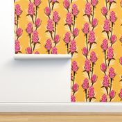 Pink Banksia in Yellow Background