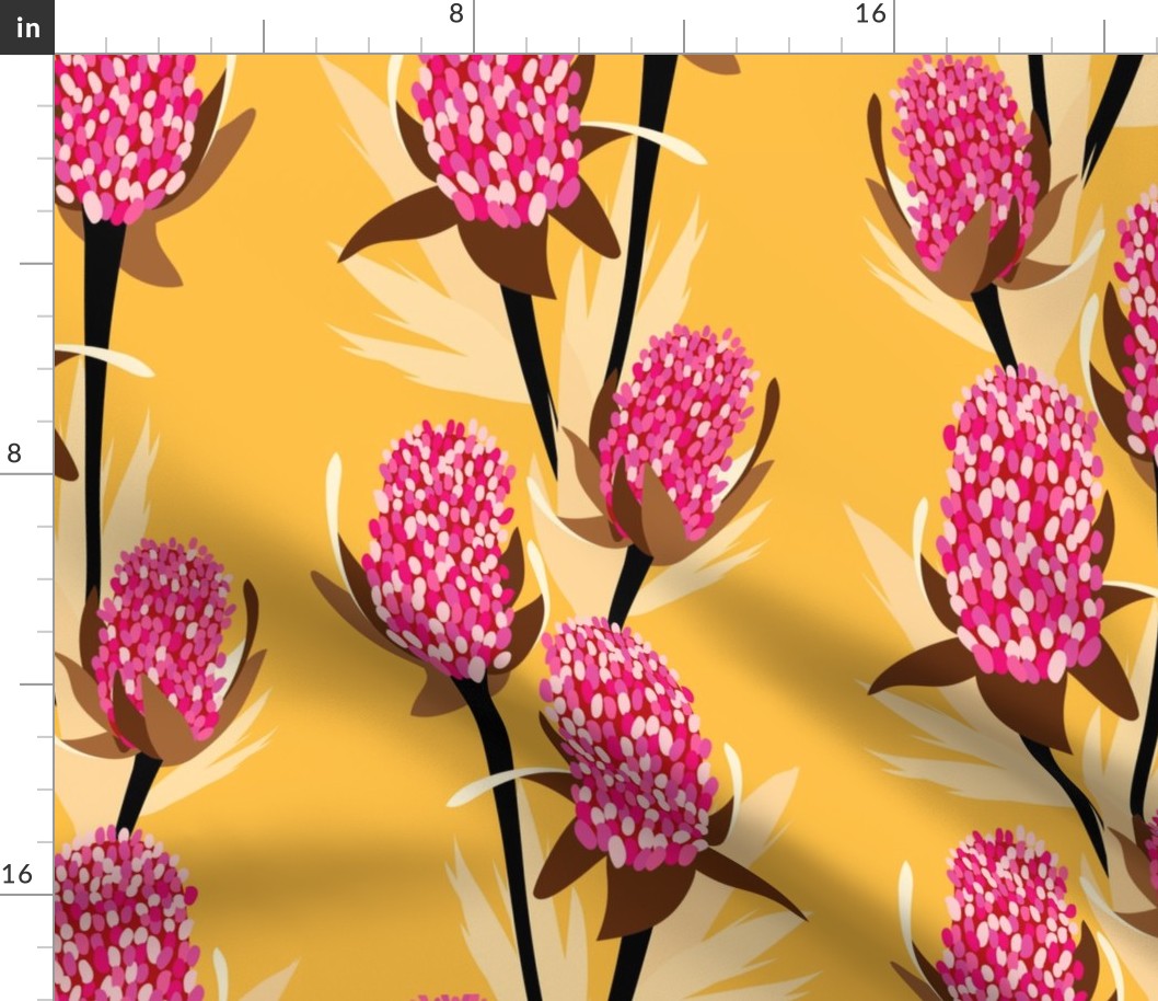 Pink Banksia in Yellow Background