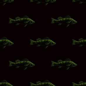 Fishies (negative nuclear)