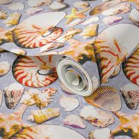 Painted Shell Collection