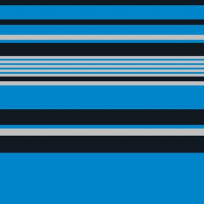 The Blue the Black and the Silver: Horizontal Stripes