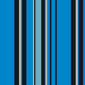 The Blue the Blue and the Silver: Vertical Stripes