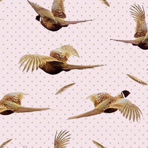 Flying Pheasant in Pink 