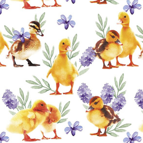 Large scale • Woodland Nursery - Little yellow ducks 