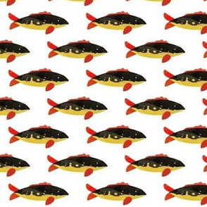 Black, Red + Gold Fish