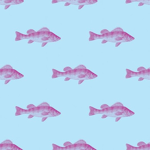 Fishies (spectral)