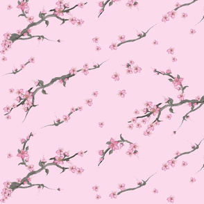 SAKURA pink cherry blossom