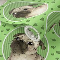 Love for pugs -green big