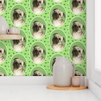 Love for pugs -green big