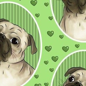 Love for pugs -green big