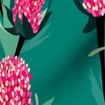 Pink Banksia in Green Background