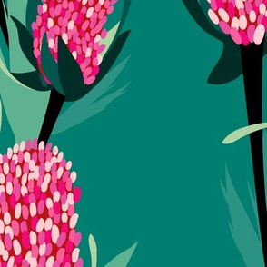 Pink Banksia in Green Background