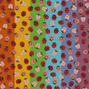 Ladybug Retro Rainbow