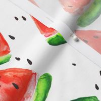 watercolor watermelons