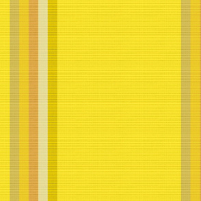 lemon_marigold_yellow_stripe