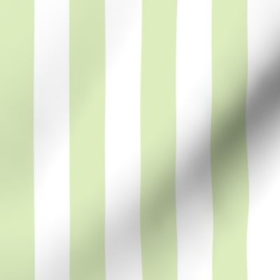 Celery Green Stripe